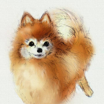 らんたん
