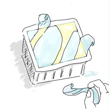 豆腐に勝てない