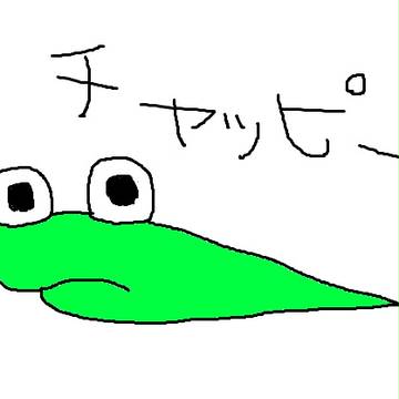 初投稿