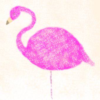 フラミンゴ