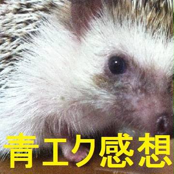 青エク14話感想★