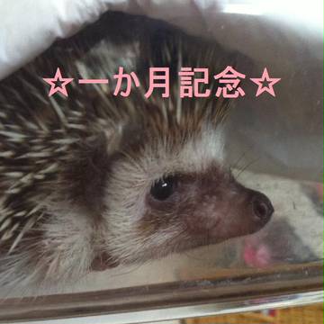 今日で・・・