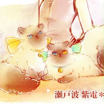 【ぴくBLα】瀬戸波 紫電【補足】