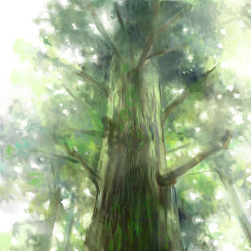 わさわさ