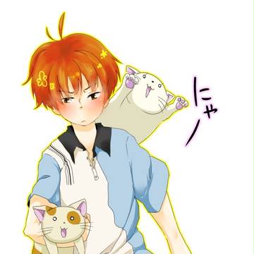 猫くじょー