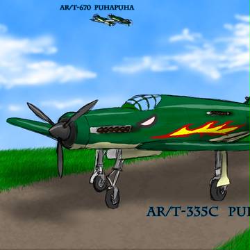 ケマアニド王国空軍　AR/T-335c
