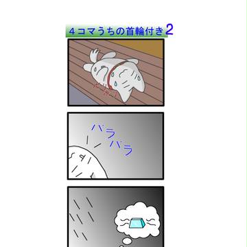 涼しくなってきた