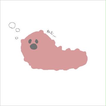 ねぼけなまこ