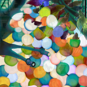 魚さん