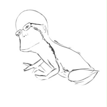 かえるちゃん４