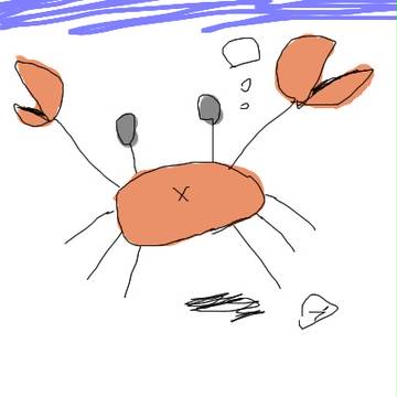 ｋani