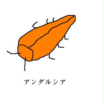 7色制覇！