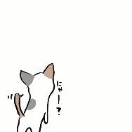 ぬこ。