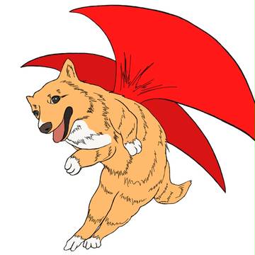 バード犬