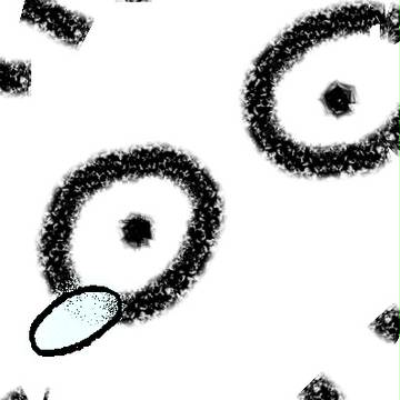 ふまないでよ