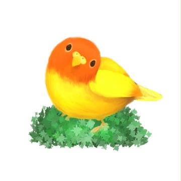 インコ