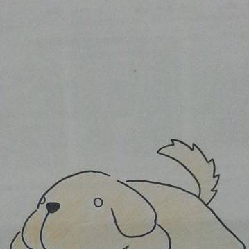 いぬ。