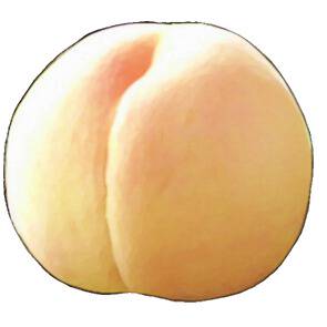 もも