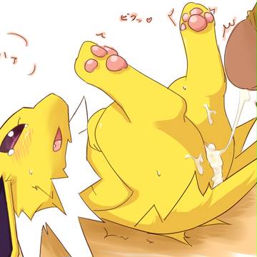 サンダース