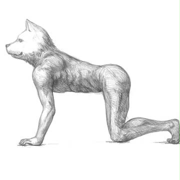犬人間