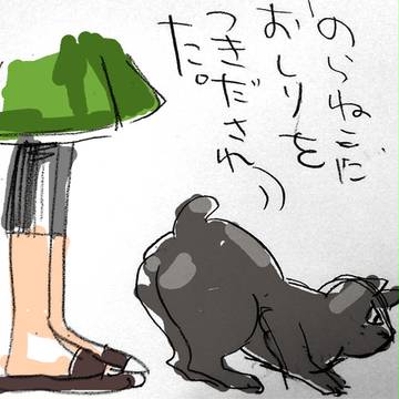 今日の出来事