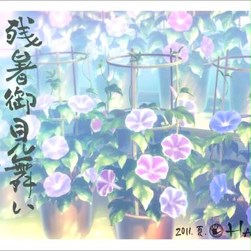 暑