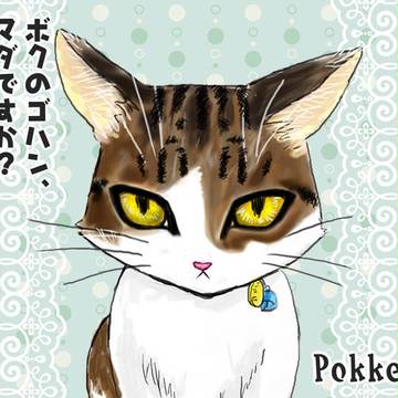 ぽっけ♂