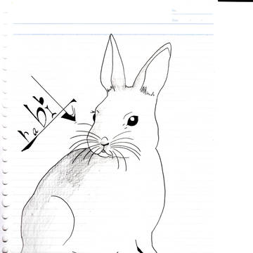 うさぎ