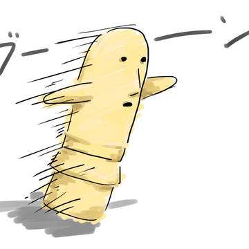 ￣(=∵=)￣