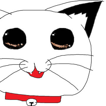 猫ぽい何かけど最初はQBのつもりだった