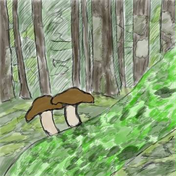 きのこ