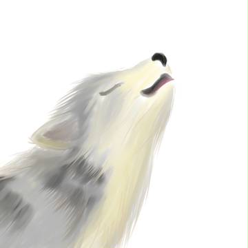 オオカミ