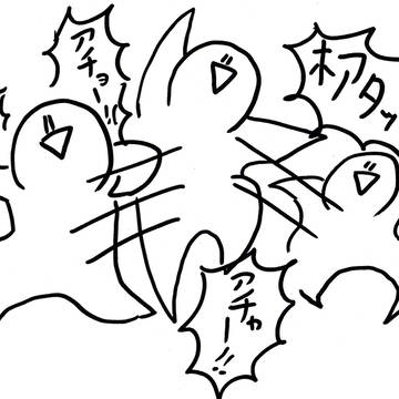 ｶﾝﾌｰ