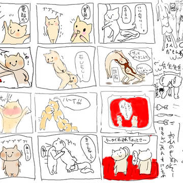 ねこちゃん２