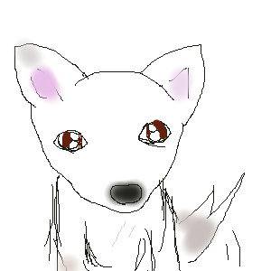 おかえり犬