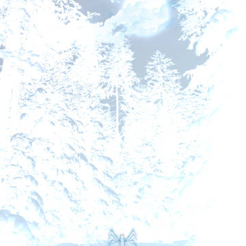 冬