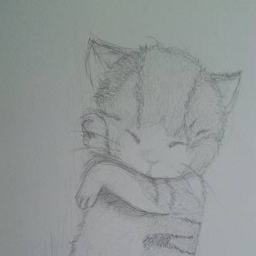 ぬこたん