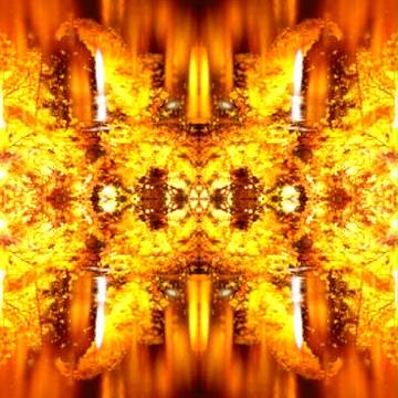 幻想　葉印