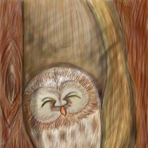 Owl in the mood of Sleeping...