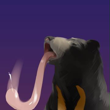 どんが