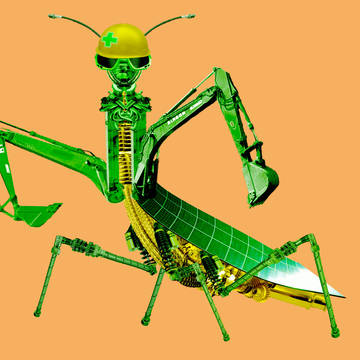 Mantis