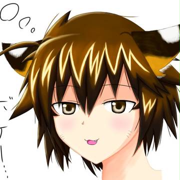 初めてのSAI