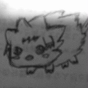 初描き