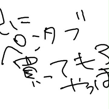 念願…。