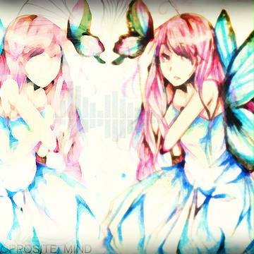 OPPOSITE