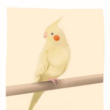 おかめいんこ