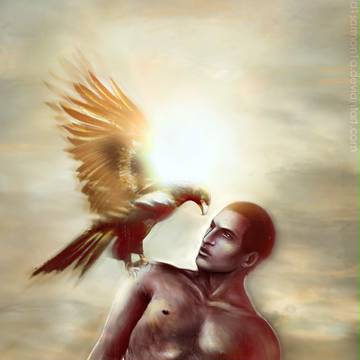 Eagles
