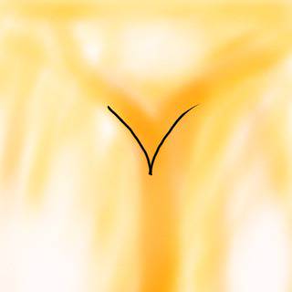 胸のつもり
