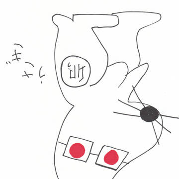 USAGI