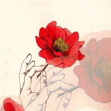 山茶花をどうぞ